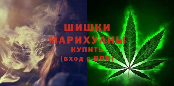 шишки Армянск