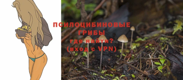 шишки Армянск