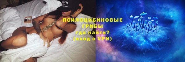 мяу мяу мука Арсеньев