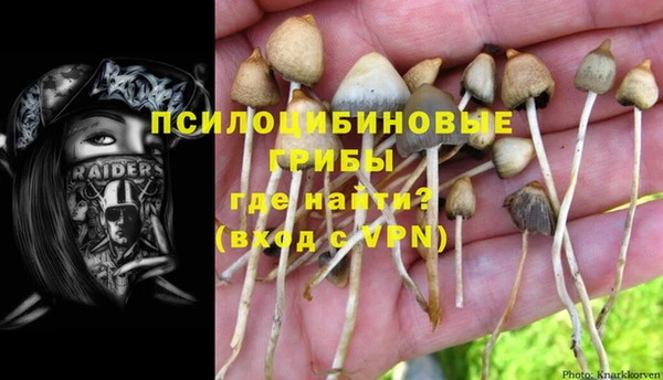 шишки Армянск