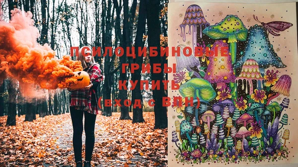 шишки Армянск