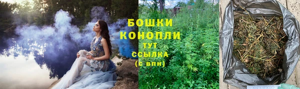 шишки Армянск