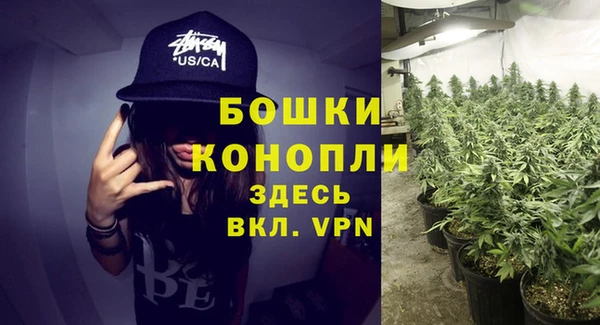 шишки Армянск