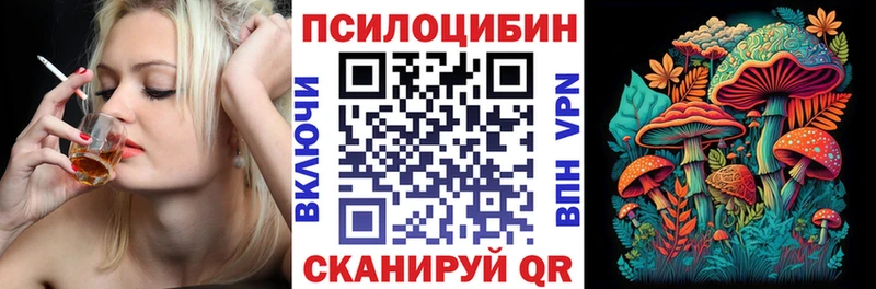Галлюциногенные грибы Psilocybe  как найти наркотики  Петухово 